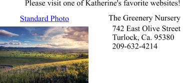 Please visit one of Katherine's favorite websites!  Standard Photo  742 East Olive StreetTurlock, Ca. 95380209-632-4214 The Greenery Nursery